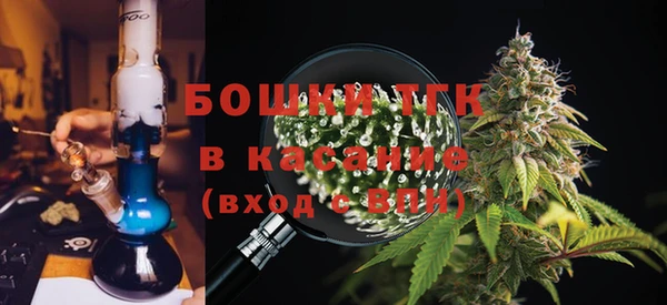 apvp Ельня