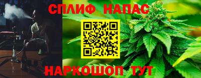 прущие грибы Малоярославец