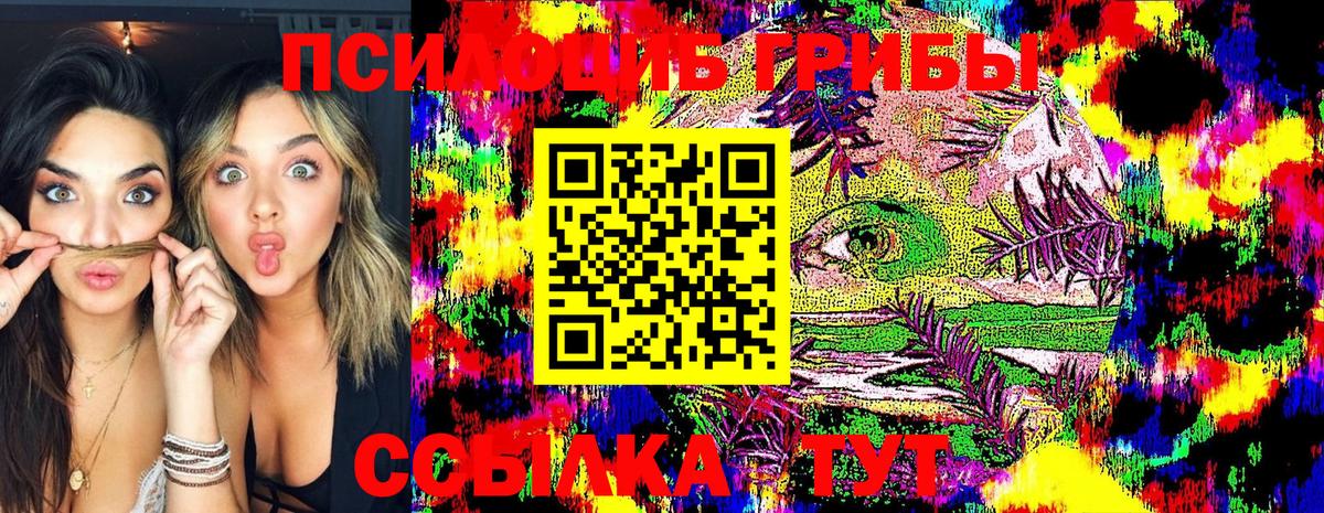Псилоцибиновые грибы Psilocybine cubensis  Вход с VPN  сколько стоит  Каменка 